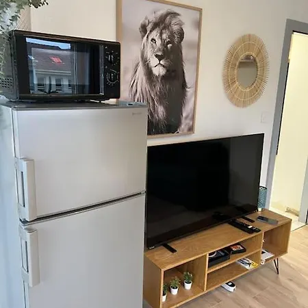 Adorable Neudorf Parking Sous Sol Apartment